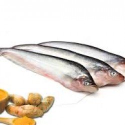 PAPDA FISH 	600 Gm 