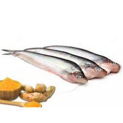 PAPDA FISH 	600 Gm 